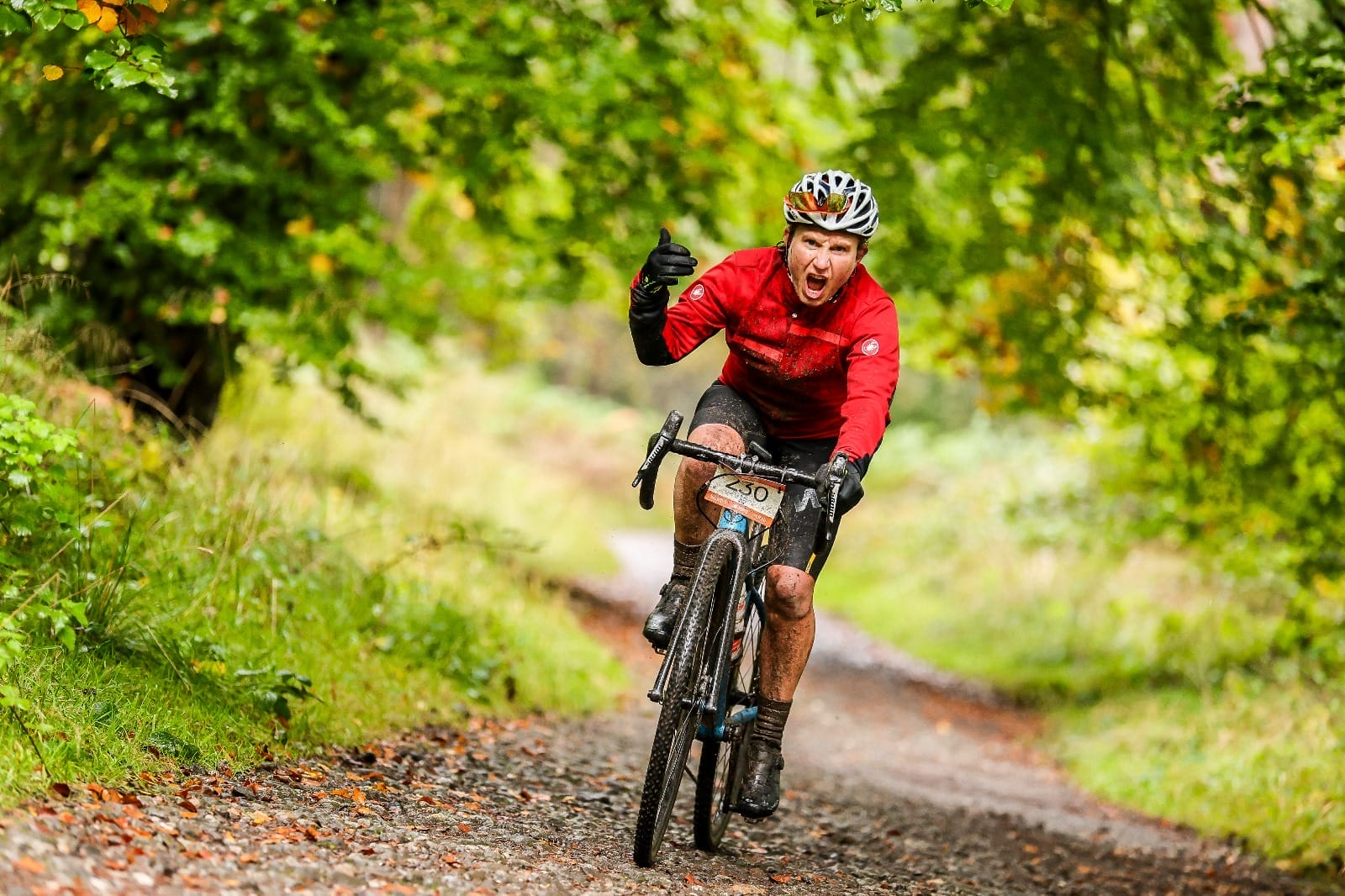 Cannock Autumn 24